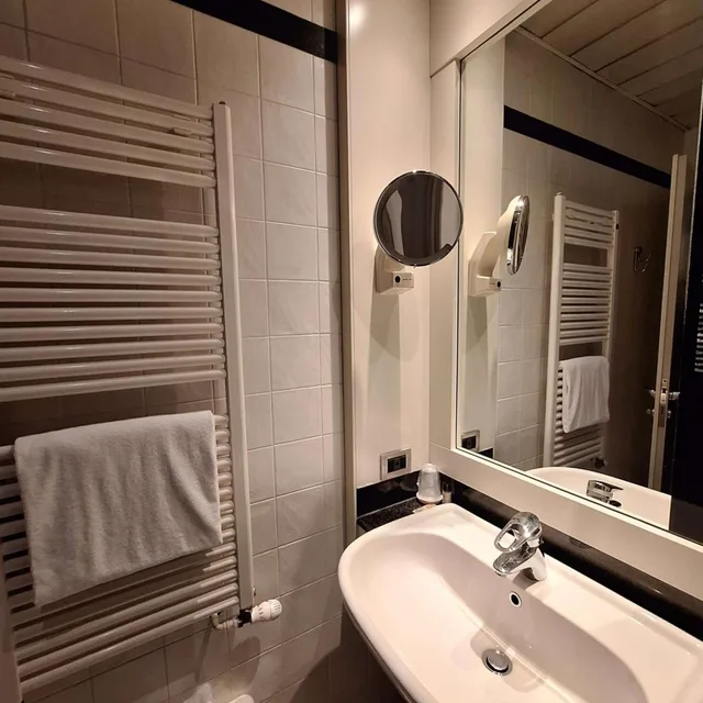 غرفة مفردة صغيرة، Sure Hotel by Best Western Milano 4/4