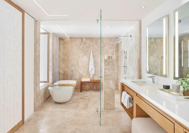 Junior Suite, Resort View, Plunge Pool، Viceroy Los Cabos 1/1