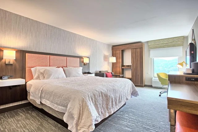 Study, King Bed, Sofa، Hampton Inn Williamsport-Downtown 2/8
