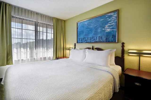 جناح بسرير كينج مع أريكة، Springhill Suites Atlanta Buford Mall of Georgia 3/10