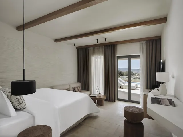 جناح جونيور بسرير كينج بمسبح خاص، Parian Chronicle Hotel Paros 1/3