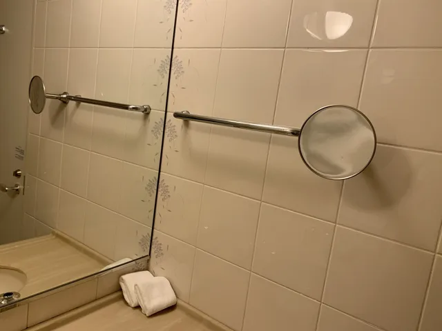 غرفة سوبيريور بسرير مزدوج، Rihga Royal Hotel Niihama 3/3