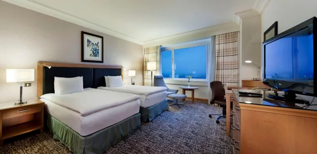 غرفة بسرير فردي لذوي الإعاقة، Adana HiltonSA 3/6