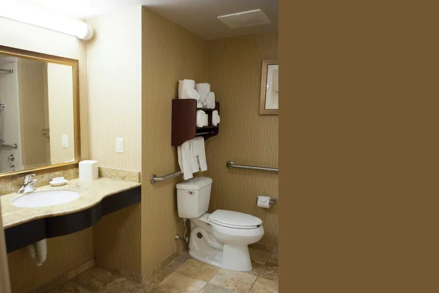 غرفة بسرير كينج لذوي الإعاقة، Hampton Inn Rochester Webster 3/4
