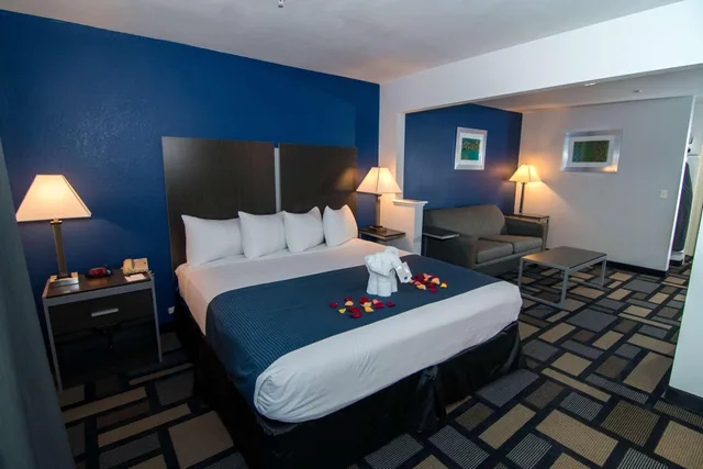 جناح لذوي الإعاقة، Best Western Galleria Inn & Suites Houston 3/7