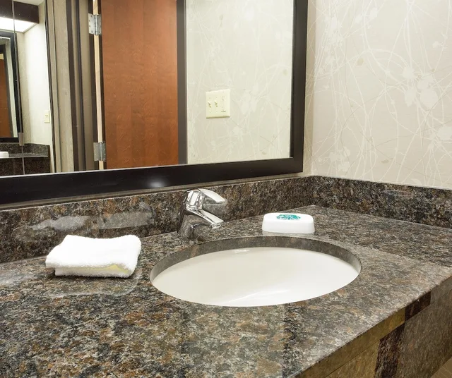 Room, King Bed, Sofa, Drury Inn and Suites Greensboro 4/4