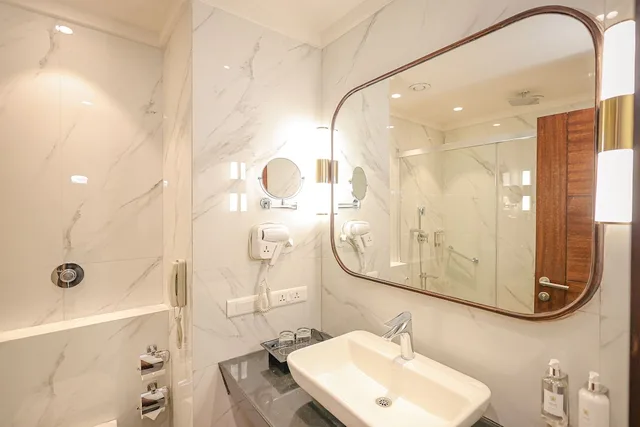 غرفة تنفيذية بسرير مزدوج، HOTEL SOFTEL PLAZA 5/5
