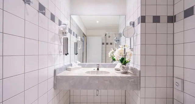 غرفة قياسية بسريرين منفصلين، Plaza Hotel Zwickau 5/5