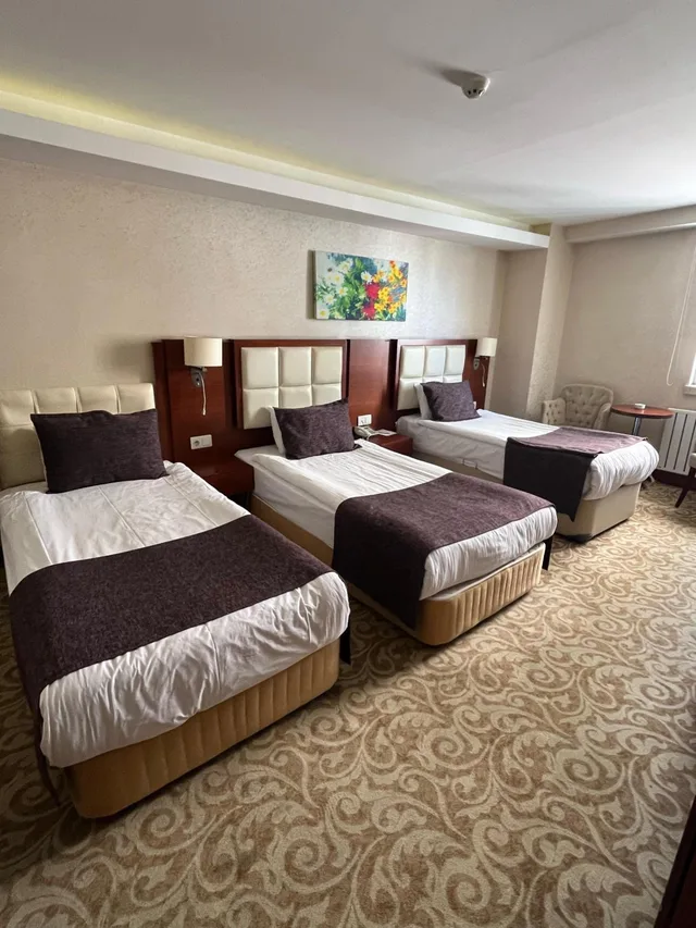 Room, Triple, ASRIN BUSINESS HOTEL 1/10