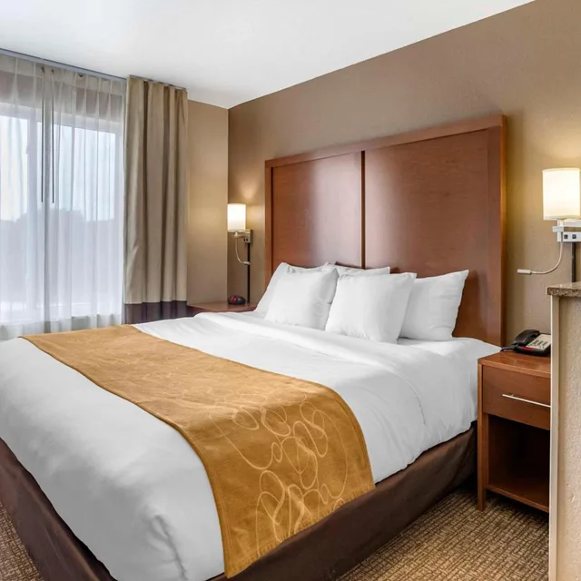 Efficiency, Suite, King Bed, Pet Friendly، Comfort Suites Coralville 1/5