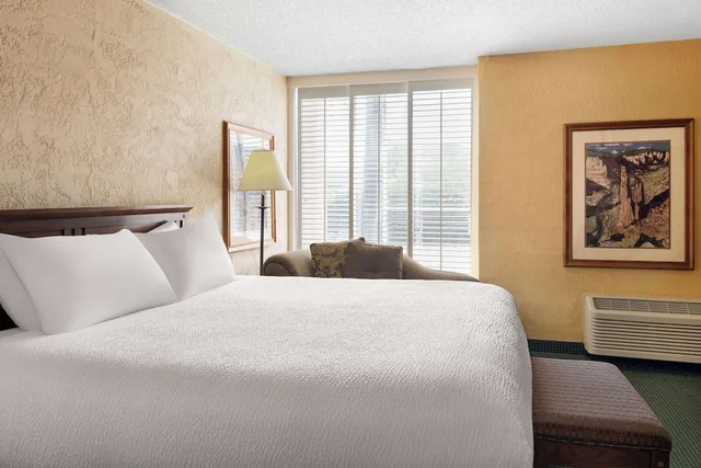 جناح ديلوكس بسرير كينج بغرفة نوم واحدة، Ramada by Wyndham Tucson 2/4