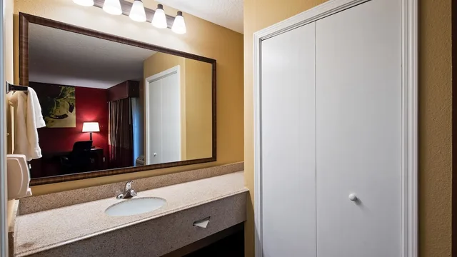 غرفة قياسية بسرير كينج لذوي الإعاقة، SureStay Plus by Best Western San Antonio Fiesta Inn 6/8