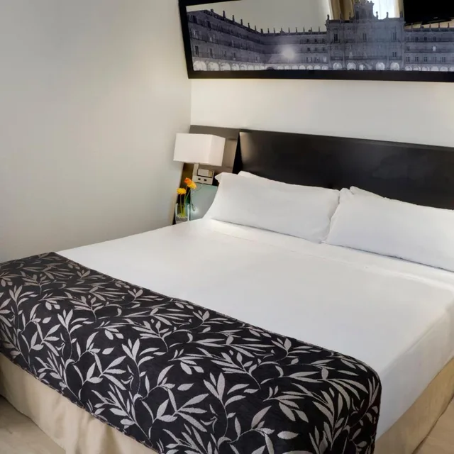 غرفة بسرير مزدوج، Hotel Sercotel Las Torres Salamanca 1/7