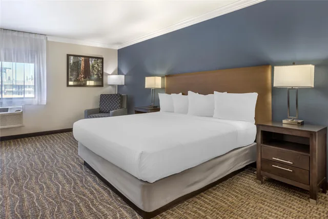 Room, King Bed, Best Western Town & Country Lodge 1/7