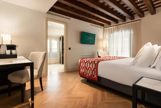 غرفة سوبيريور مفردة بسرير مزدوج، Aurea Casa Palacio Sagasta 2/7