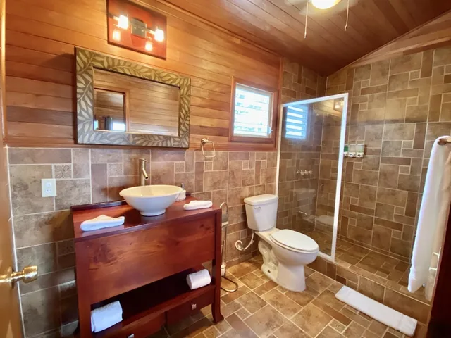 غرفة قياسية بسرير كينج، Dream Valley Resort 3/3