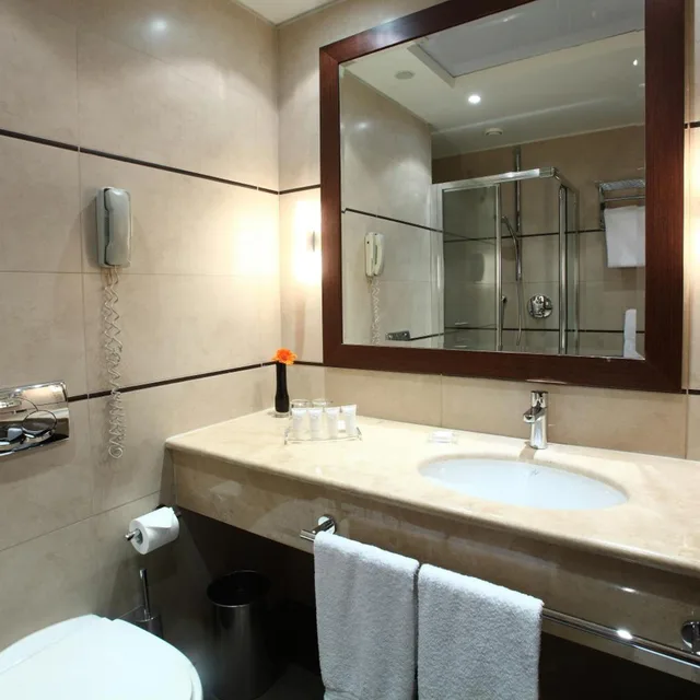 غرفة مفردة بسرير مزدوج، Starhotels Ritz 8/10