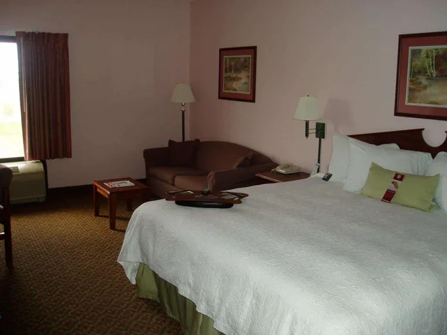 استوديو بسرير كينج، Hampton Inn Spring Hill 1/1