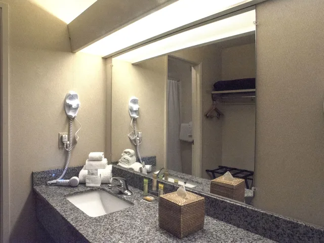 غرفة ديلوكس بسرير كينج، Inn At The Convention Center 4/6