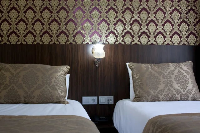غرفة قياسية بسريرين منفصلين، ISTANBUL CENTRAL HOTEL 3/4