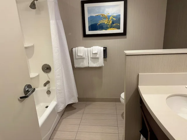جناح بسرير كينج مع أريكة لذوي الإعاقة، Courtyard by Marriott Asheville Airport 3/4