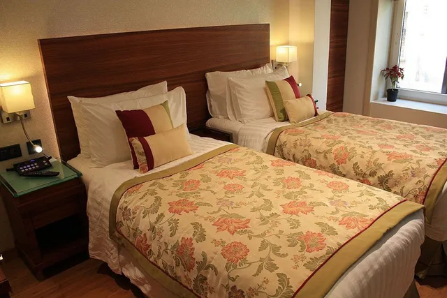 غرفة تنفيذية مفردة، Bawa Continental 1/1