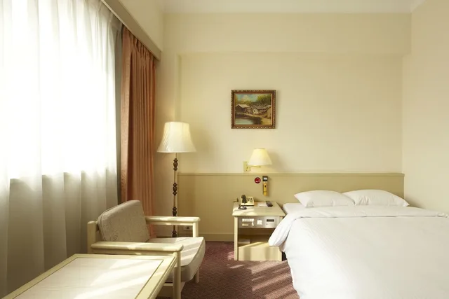 Standard, Single, Emperor Hotel 5/6