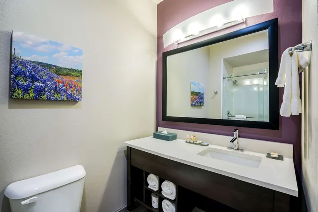غرفة بسرير كينج لذوي الإعاقة، La Quinta Inn And Suites By Wyndham Houston Cypress 4/4