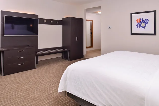 غرفة قياسية بسرير كينج لذوي الإعاقة، Holiday Inn Express and Suites - Mall of America - MSP Airport 2/10