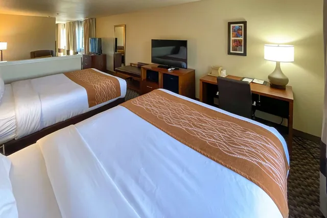 جناح بسريرين كوين، Comfort Inn Midtown 1/5
