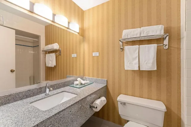 Room, Queen Bed, Executive Hotel Vancouver Airport 3/3
