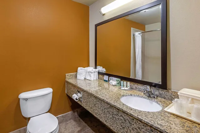 جناح بسرير كينج بغرفة نوم واحدة مع أريكة، Quality Suites Addison-Dallas 4/4