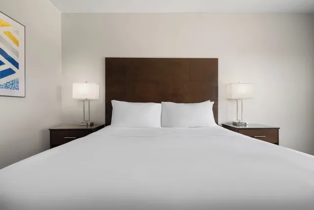 جناح بسرير كينج لذوي الإعاقة، Holiday Inn Express And Suites Aiken 3/9
