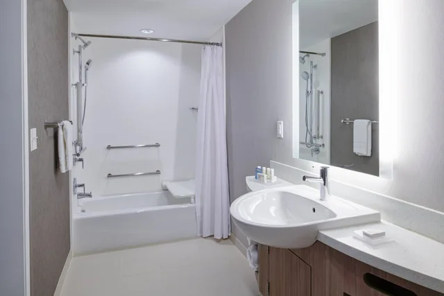 جناح بسرير كوين بإطلالة على المدينة لذوي الإعاقة، Springhill Suites Detroit Wixom 8/10