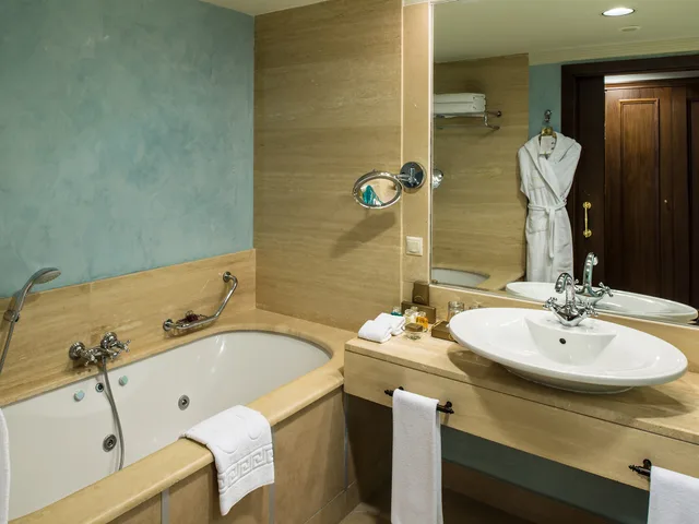 Deluxe, Single, Double Bed, City View, Rixos Almaty Hotel 3/5