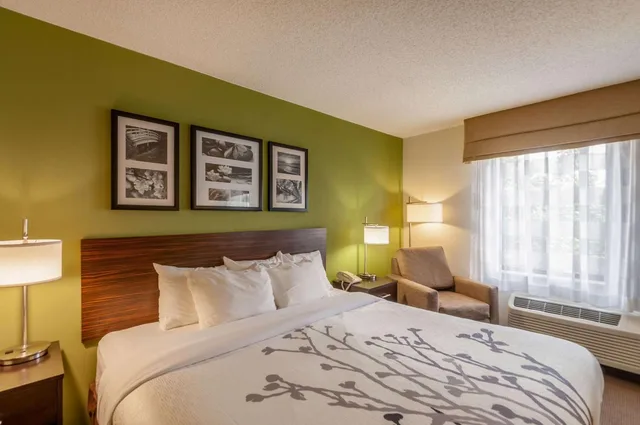 Suite, King Bed, Sleep Inn and Suites Harrisonburg Near University 3/5