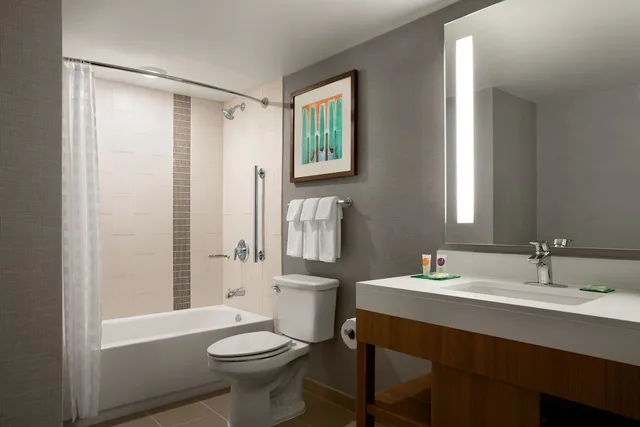1 Bedroom, Suite, King Bed, Sofa, Hyatt Place Minneapolis Downtown 4/4