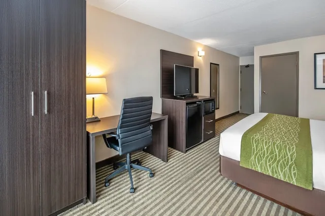 غرفة بسرير كينج مع أريكة لذوي الإعاقة، Comfort Inn Chatham 3/5