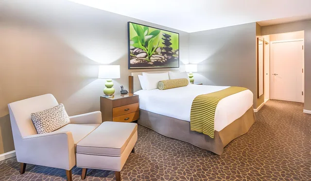 Superior, King Bed, Tower View، Creekside Inn Palo Alto 2/2
