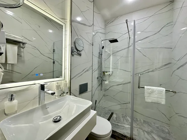 غرفة قياسية بسرير مزدوج، Green Park Hotel 6/6