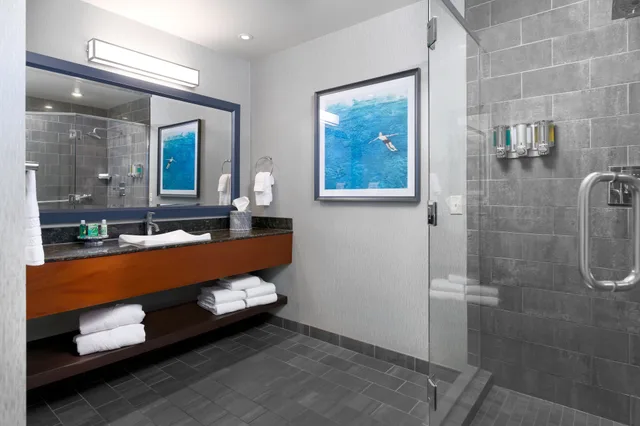 Panoramic, King Bed, Ocean Front، Beach Terrace Inn 6/6