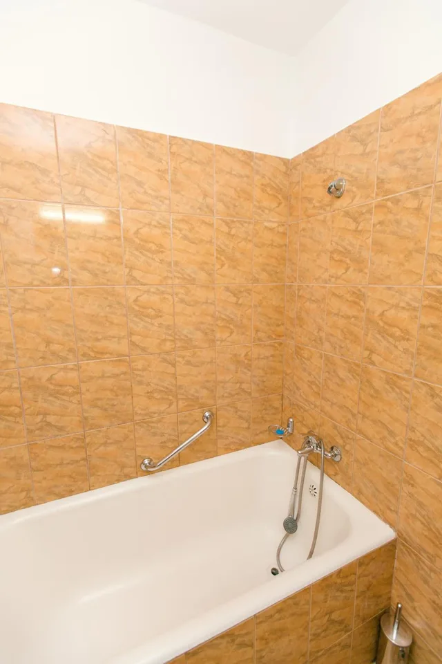 1 Bedroom, Suite, Poienita 5/5