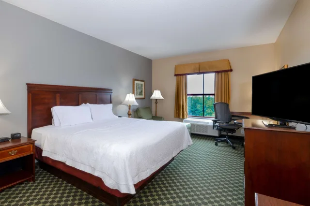 غرفة قياسية بسرير كينج، Hampton Inn Lawrenceville Duluth 5/10