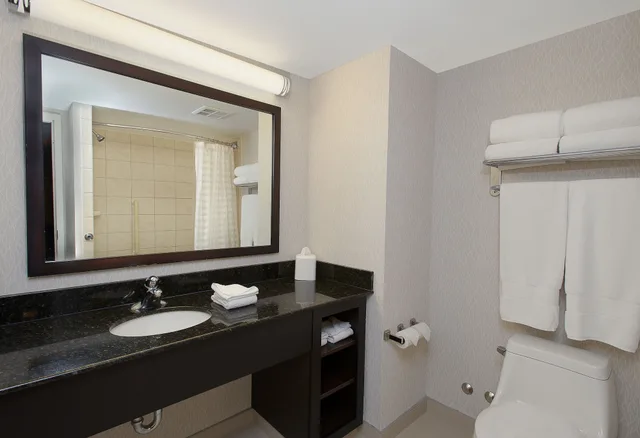 Room, 2 Queen Beds, Canadian Us Falls View, Sofa, Embassy Suites By Hilton Niagara Falls Fallsview 6/9