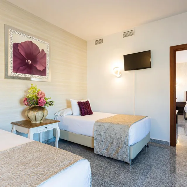 جناح جونيور عائلي، Hotel Plaza del Castillo 4/9