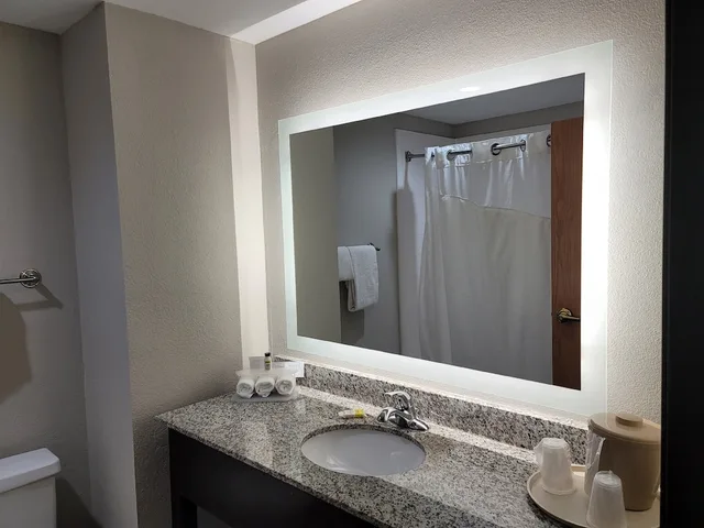 Suite, King Bed, Sofa, Holiday Inn Express Hotel Suites Wilson Downtown 2/2