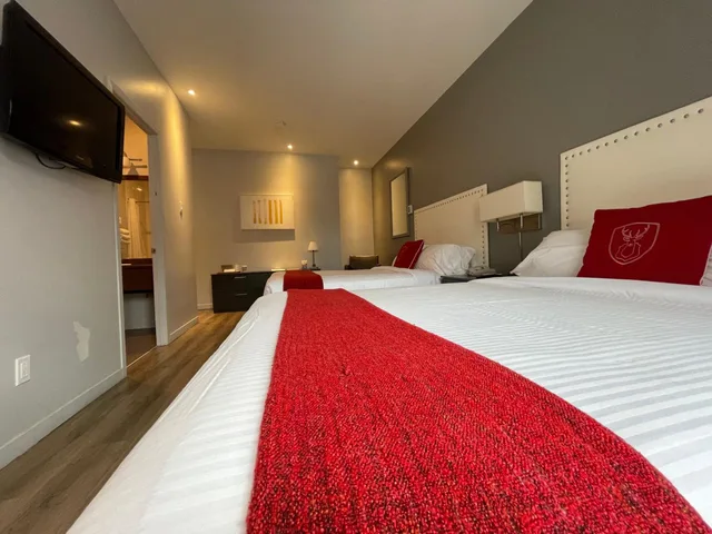 غرفة بسرير كينج وسريرين كوين، Hotel Du Nord 1/10