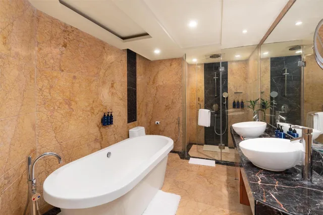 جناح جونيور، Radisson Blu Plaza Hotel Delhi Airport 5/5