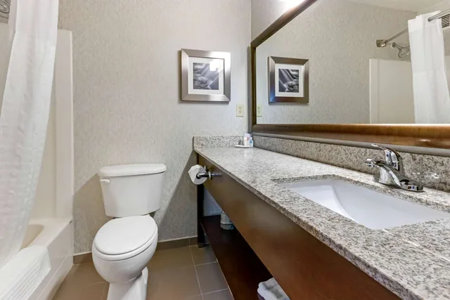 جناح بزنس بسرير كينج، Comfort Inn and Suites Market Airport 2/2