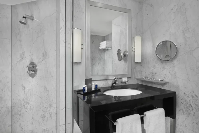 غرفة بانورامية بسريرين منفصلين، The Park Tower Knightsbridge, a Luxury Collection Hotel, London 4/5